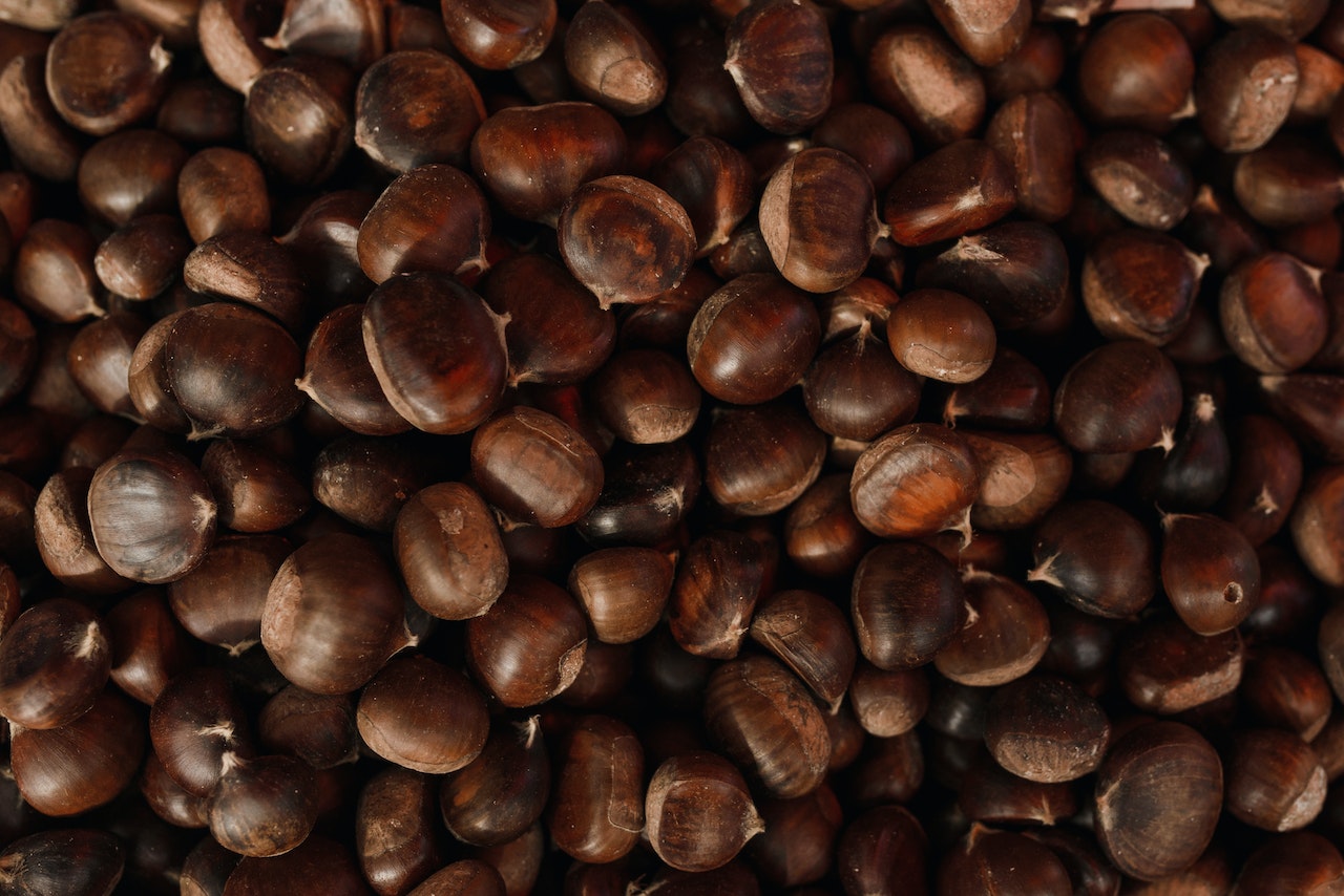 castagne2 Castagne